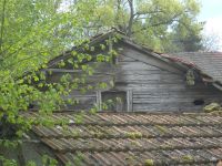 fruehling12 der letzte fruehling - vielleicht